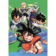Jig-and-Puz - Dragon Ball Z