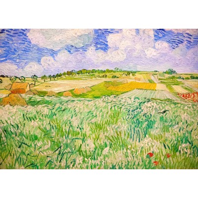 Puzzle  Enjoy-Puzzle-1176 Vincent van Gogh: Plain near Auvers