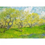 Puzzle  Enjoy-Puzzle-1179 Vincent van Gogh: Orchard in Blossom