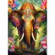 Jig-and-Puz - Celestial Botanica