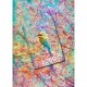 Jig-and-Puz - Oiseau Joyeux