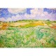 Jig-and-Puz - Vincent van Gogh: Plain near Auvers